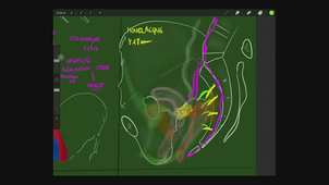 AMIENS-PASS_20250123-080027_S1R1.m4v