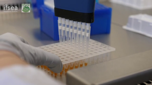 Séquençage du gène de l'ARNr 16S - Etape 2.mp4