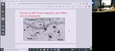 FCU DAEU Biologie 08-11-2021