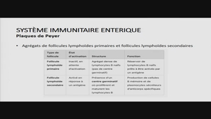 AMIENS-PASS_20250416-100158_S1R1.m4v