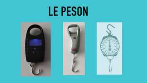 IFSEA - 2. La pesée du poisson