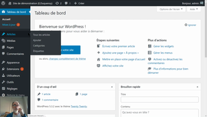 CMS - Wordpress - Mise à jour des extensions et de WP