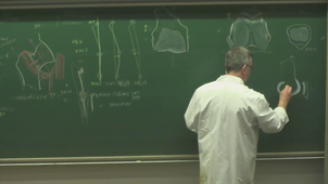 AMIENS-PASS_20260218-16H-Havet