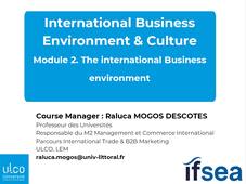 Vidéo 2 - International Business Environment & Culture  : The International Business Environment