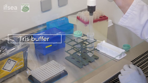 Séquençage du gène de l'ARNr 16S - Etape 1.mp4