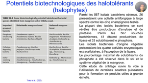 Cours III Valorisation des mangroves