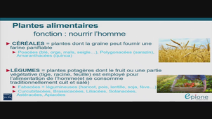 AMIENS-PASS_20250414-075945_S1R1.m4v