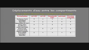 AMIENS-PASS_20250117-080037_S1R1.m4v