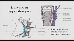 AMIENS-PASS_20250307-095933_S1R1.m4v