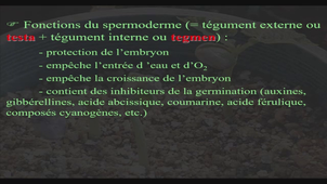 AMIENS-PASS_20250312-100004_S1R1.m4v