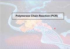 2. Polymerase Chain Reaction (PCR)