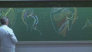 AMIENS-PASS_20250122-160006_S1R1.m4v