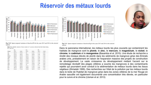 Cours I Généralités sur les mangroves