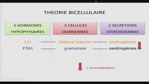AMIENS-PASS_20250117-100017_S1R1.m4v