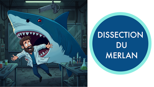 IFSEA - 4. Dissection du merlan