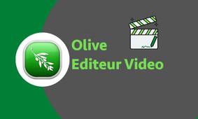 Edition Video Sauvegarde avec Olive
