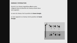 AMIENS-PASS_20250828-135955_S1R1.m4v