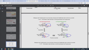 AMIENS-PASS_20250122-134449_S1R1.m4v