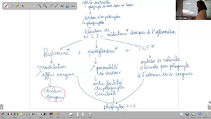 FCU DAEU Biologie - 05.05.25