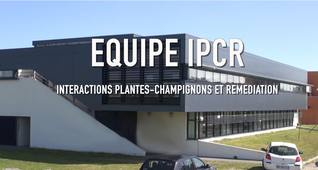 La thématique Biocontrôle au sein de l'équipe IPCR de l'UCEIV-Calais