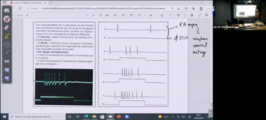 FCU DAEU Biologie 25-04-22