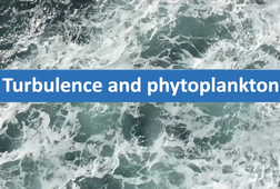 6-Turbulence and phytoplankton