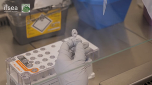 Séquençage du gène de l'ARNr 16S - Etape 3.mp4