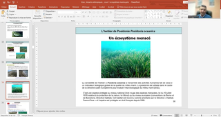 Visio Cours 1 UE2 DU GIZC