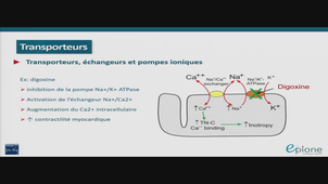 AMIENS-PASS_20250312-080023_S1R1.m4v