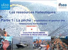 Les ressources halieutiques : La Pêche capsule 1