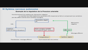 AMIENS-PASS_20250411-080130_S1R1.m4v