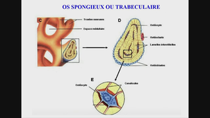AMIENS-PASS_20251017-135017_S1R1.m4v