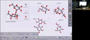 FCU DAEU Biologie - 03.10.22