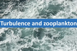 7-Turbulence and zooplankton