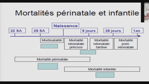 AMIENS-PASS_20250114-100202_S1R1.m4v