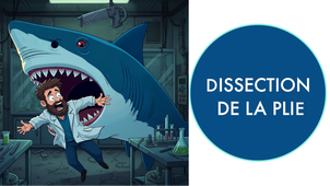 IFSEA - 5. Dissection de la plie