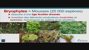 AMIENS-PASS_20250122-100234_S1R1.m4v